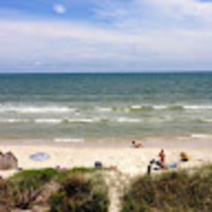 Meet your Posher, Adrienne